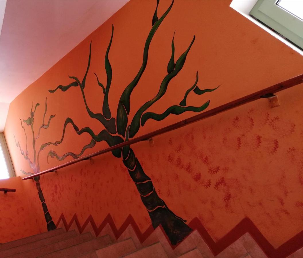 B&B Salinas Boa Vista Wifi Free 살 레이 외부 사진